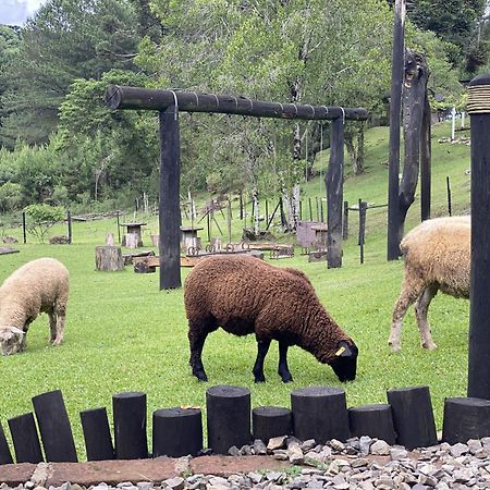 Cabanas Leao Da Tribo De Juda Canela Εξωτερικό φωτογραφία