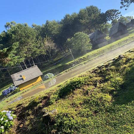 Cabanas Leao Da Tribo De Juda Canela Εξωτερικό φωτογραφία