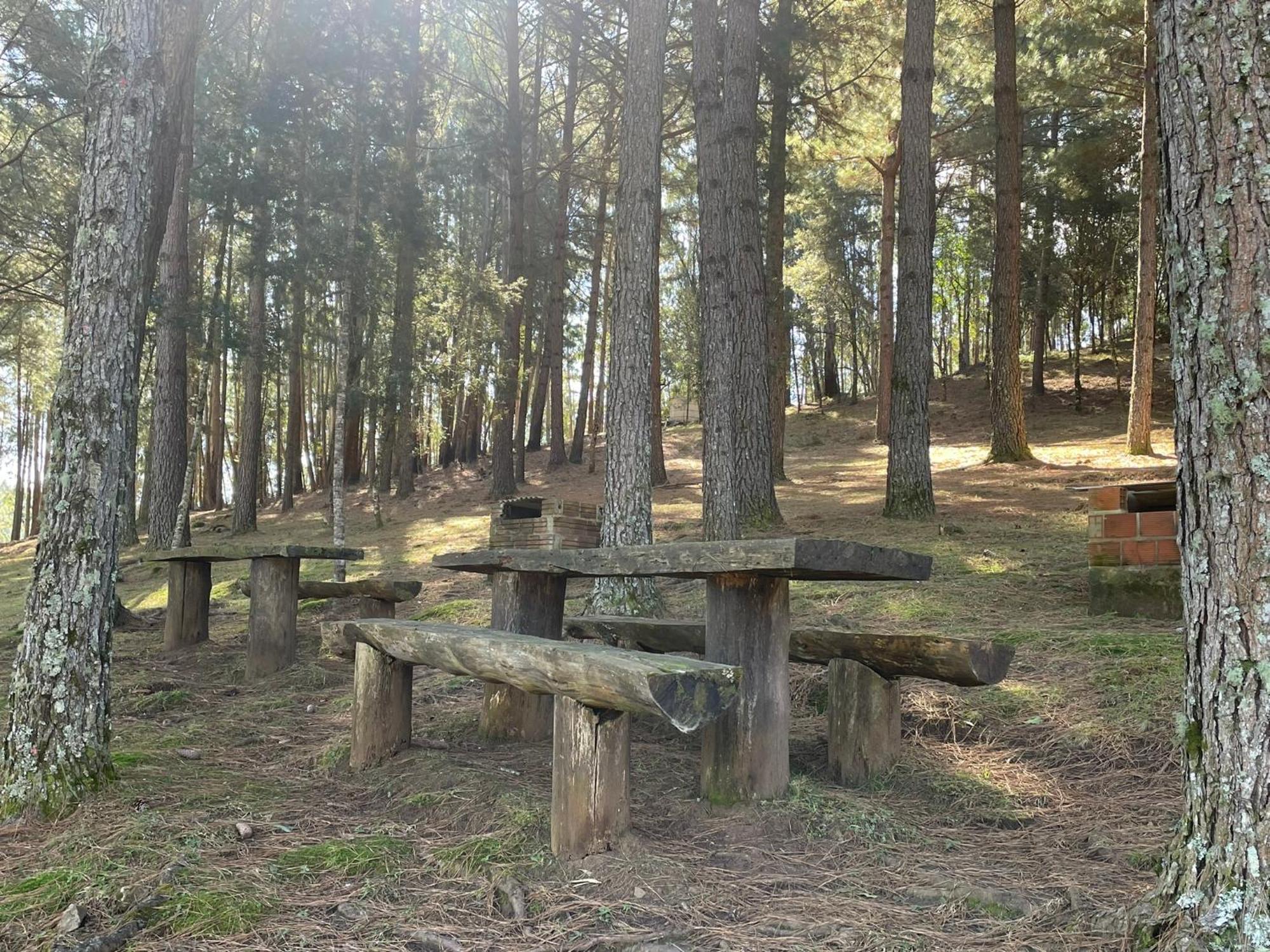 Cabanas Leao Da Tribo De Juda Canela Εξωτερικό φωτογραφία