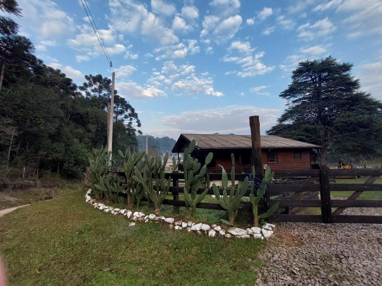 Cabanas Leao Da Tribo De Juda Canela Εξωτερικό φωτογραφία